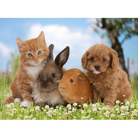 Friends of the Family 