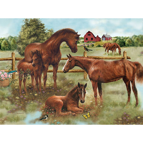 Horse Family