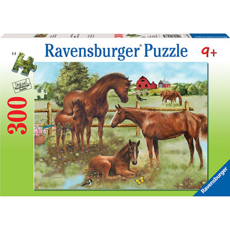 Horse Family