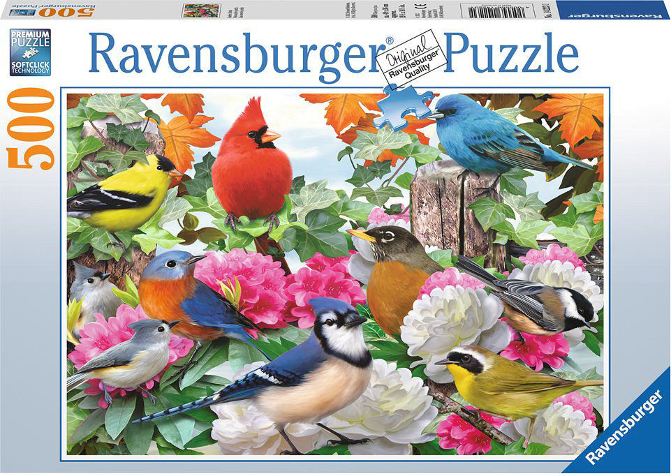 Garden Birds