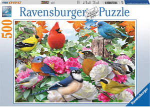 Garden Birds