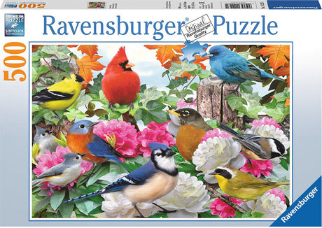 Garden Birds