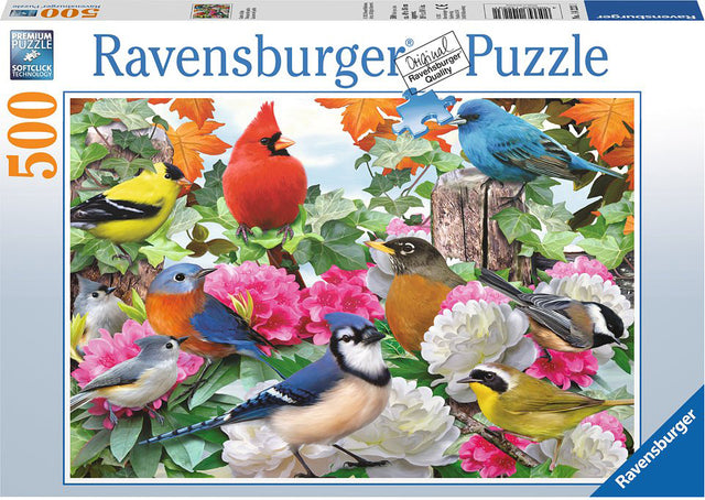Garden Birds