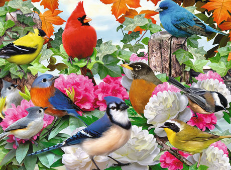 Garden Birds