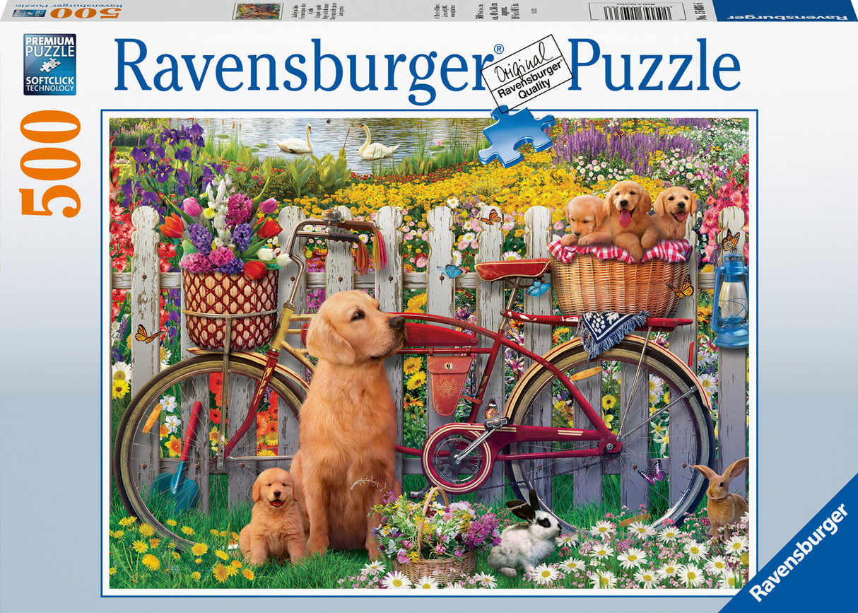 Cute Dogs