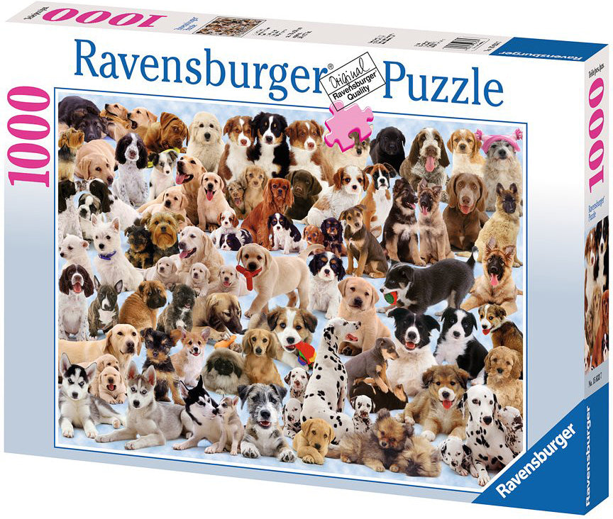 Dogs Galore! 