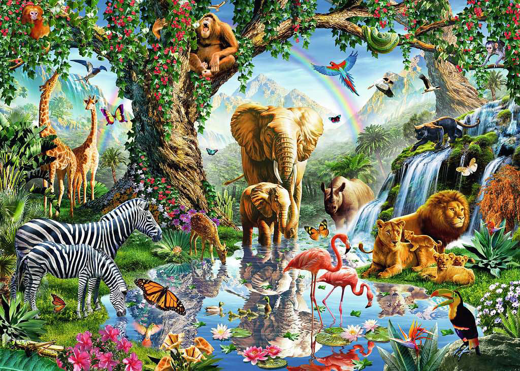 Adventures in the Jungle 