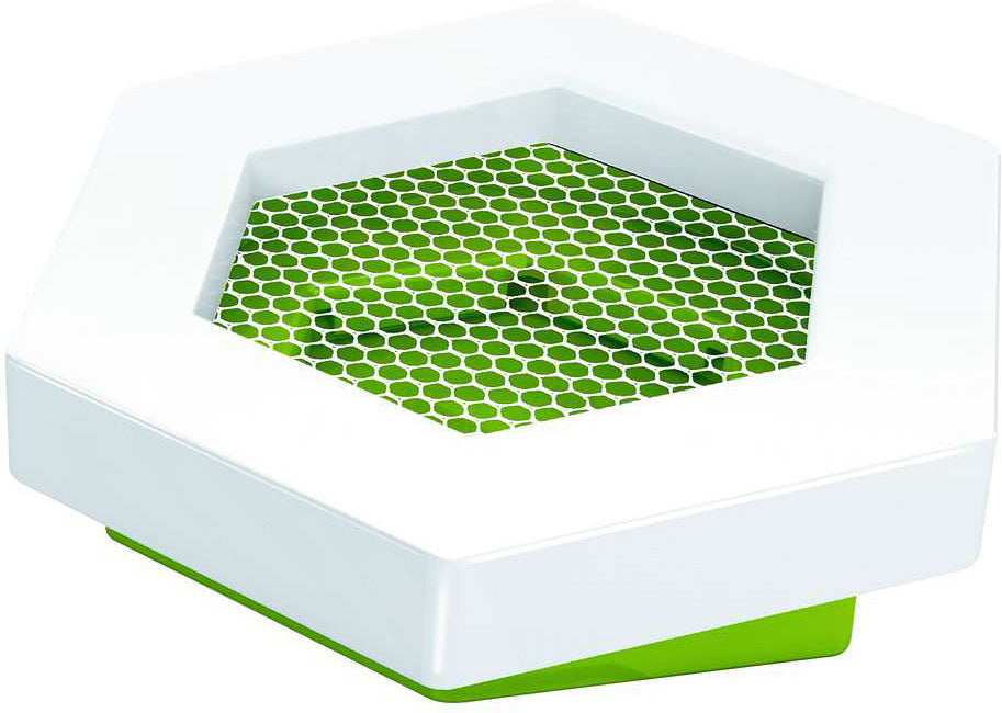 Accessory: Trampoline