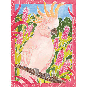 Exotic Birds