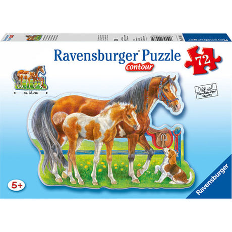 Happy Horses 