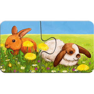 Adorable Animals 
