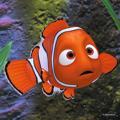In the Aquarium (3 x 49 pc Puzzles)