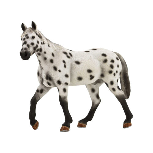 MOJO Appaloosa Stallion Chestn