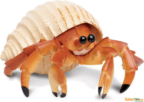 Hermit Crab