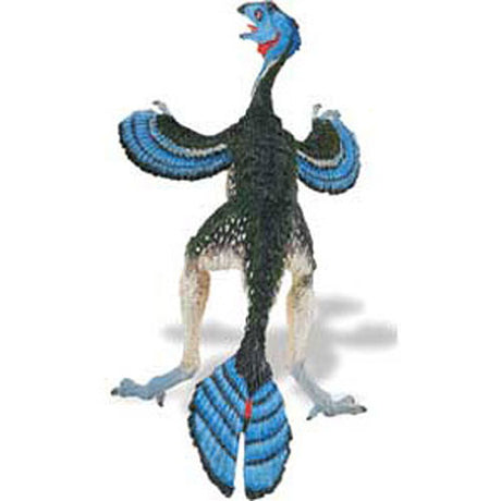 Caudipteryx
