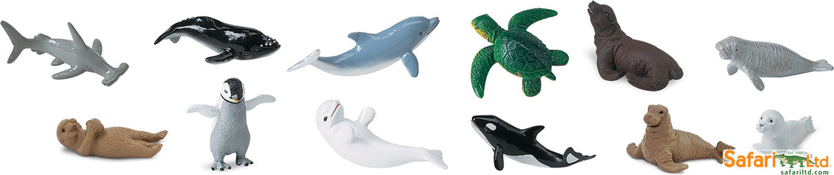 Baby Sealife