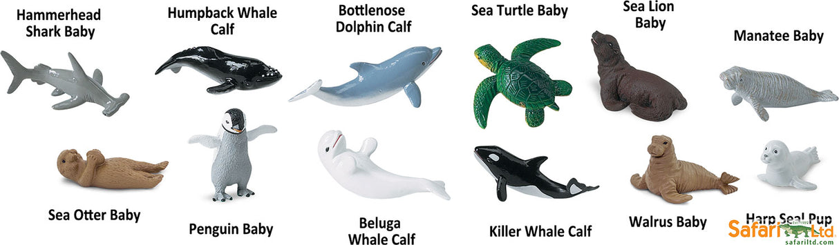 Baby Sealife