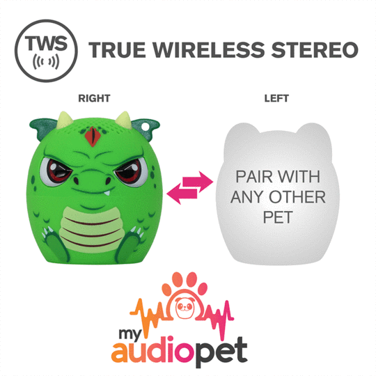 Audio Pet - Scales Dragon
