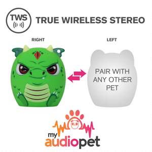 Audio Pet - Scales Dragon
