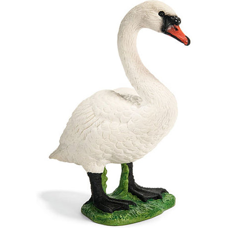 Mute Swan, Female
