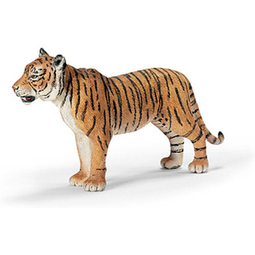 Tigress