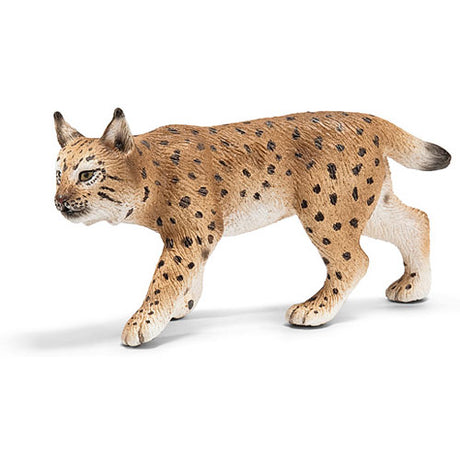 Lynx, Female