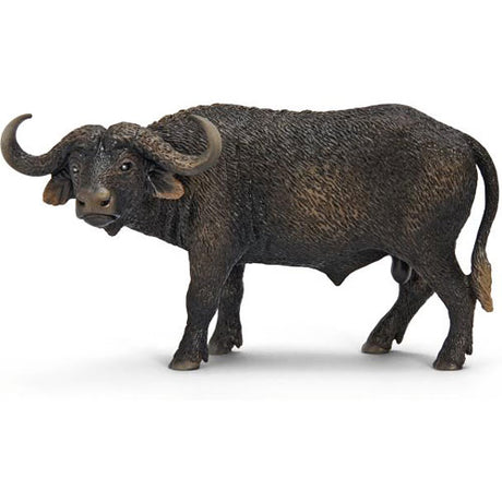 African Buffalo
