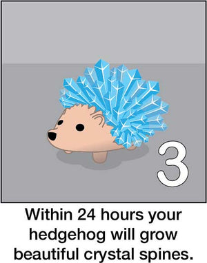 Crystal Hedgehog
