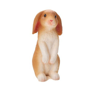 MOJO Rabbit Sitting