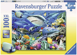 100pc - Shark Reef