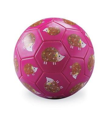 Size 3 Soccer Ball/Hedgehog