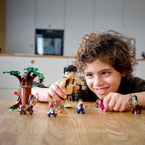 LEGO Harry Potter: Forbidden Forest: Umbridge's Encounter