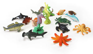 Life in the Coral Reef Game