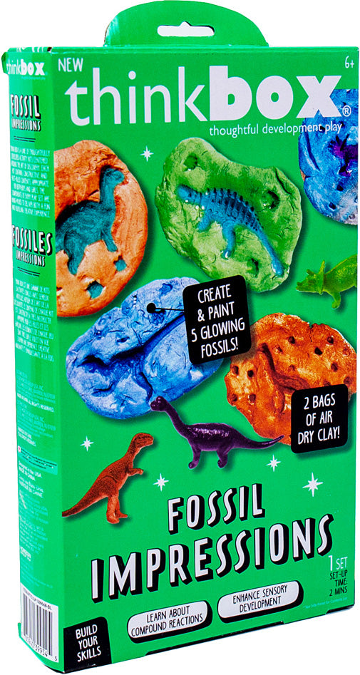 Summer Kidtivity: Fossil Impressions