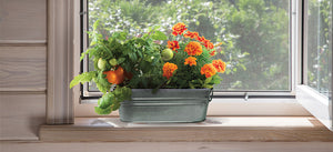 My First Garden Grow Kit