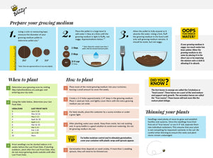 My First Garden Grow Kit