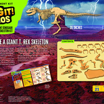 Giant Dinosaur Skeleton Kit