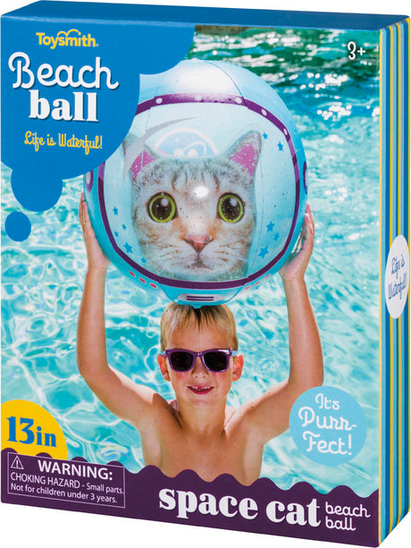 Beach Ball Space Cat (8)