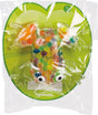 Squeezy Frog (18)