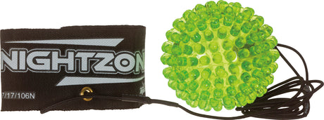 Nightzone Flashback(12)