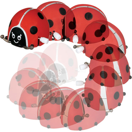 Flip'N Spin Ladybug