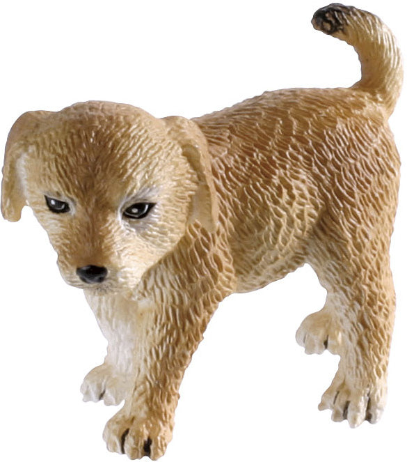 Puppies