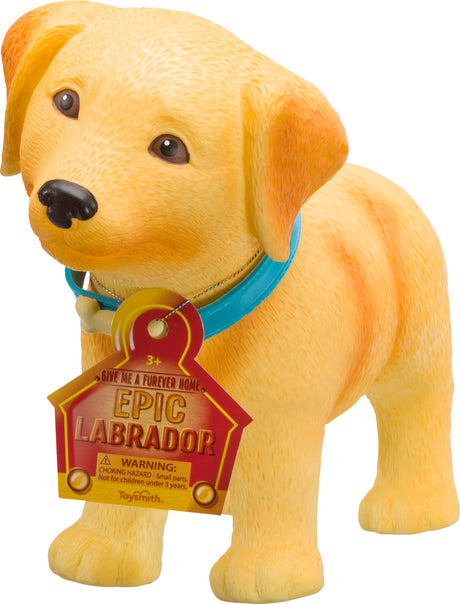 Epic Puppies  Labrador (4)