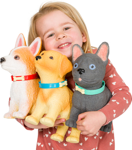 Epic Puppies  Corgi (4)
