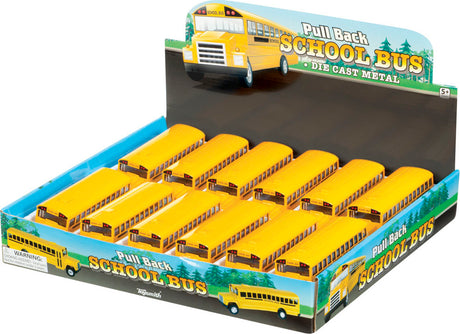 P/ B School Bus (12)