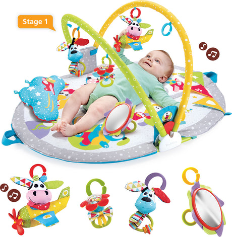 Gymotion Lay to Sit-Up Play